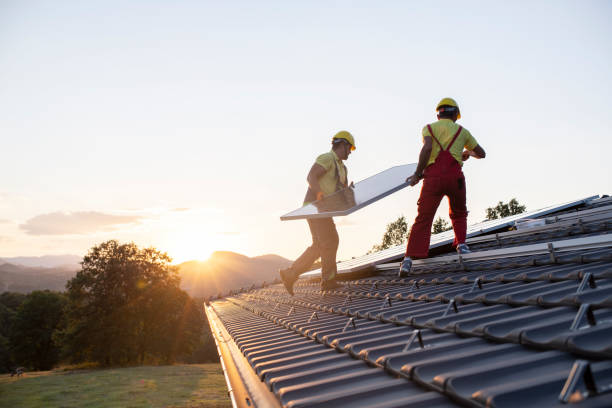 Best Chimney Flashing Repair  in La Junta, CO